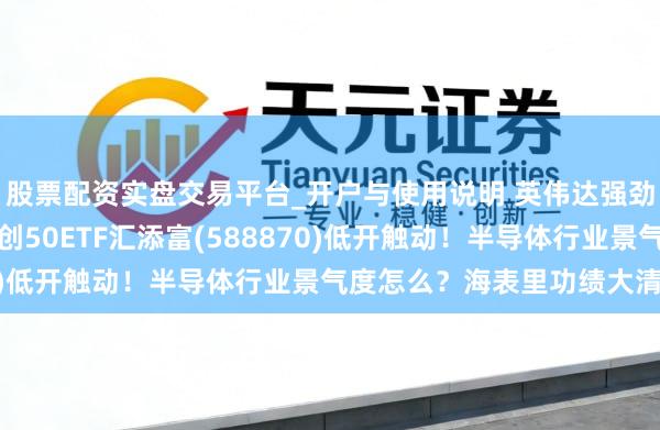 股票配资实盘交易平台_开户与使用说明 英伟达强劲财报渊博AI担忧?科创50ETF汇添富(588870)低开触动!半导体行业景气度怎么?海表里功绩大清点!