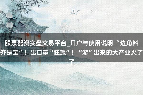股票配资实盘交易平台_开户与使用说明 “边角料齐是宝”！出口量“狂飙”！“游”出来的大产业火了